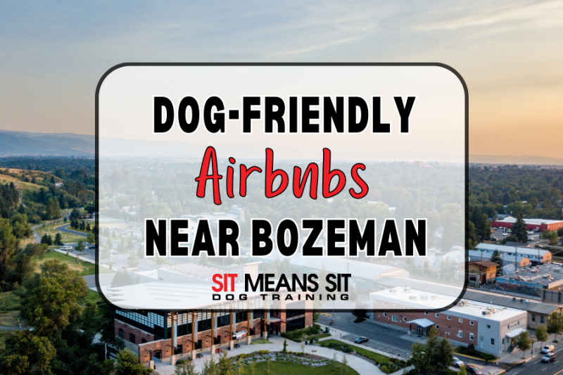 Dog-Friendly Airbnbs Near Bozeman