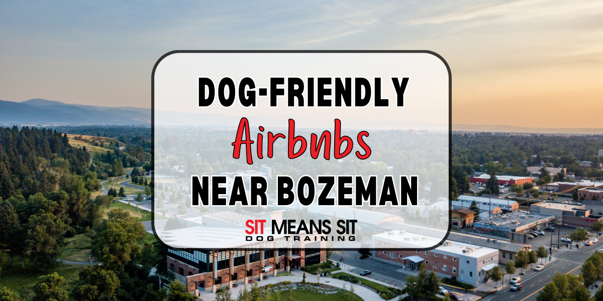 Dog-Friendly Airbnbs Near Bozeman