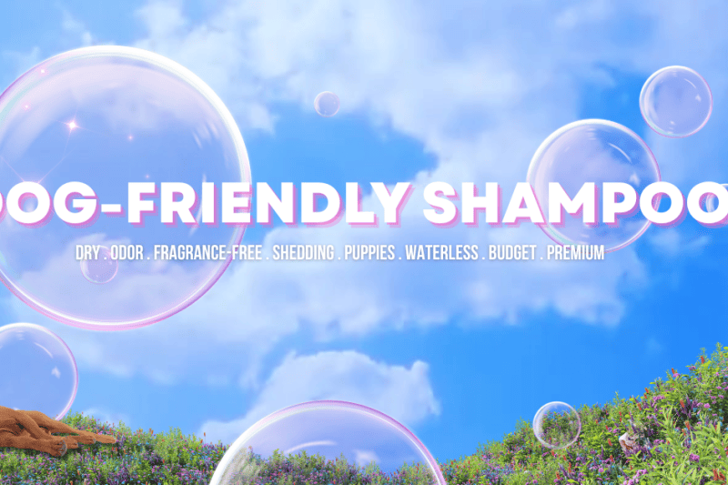 The Best Dog-Friendly Shampoos