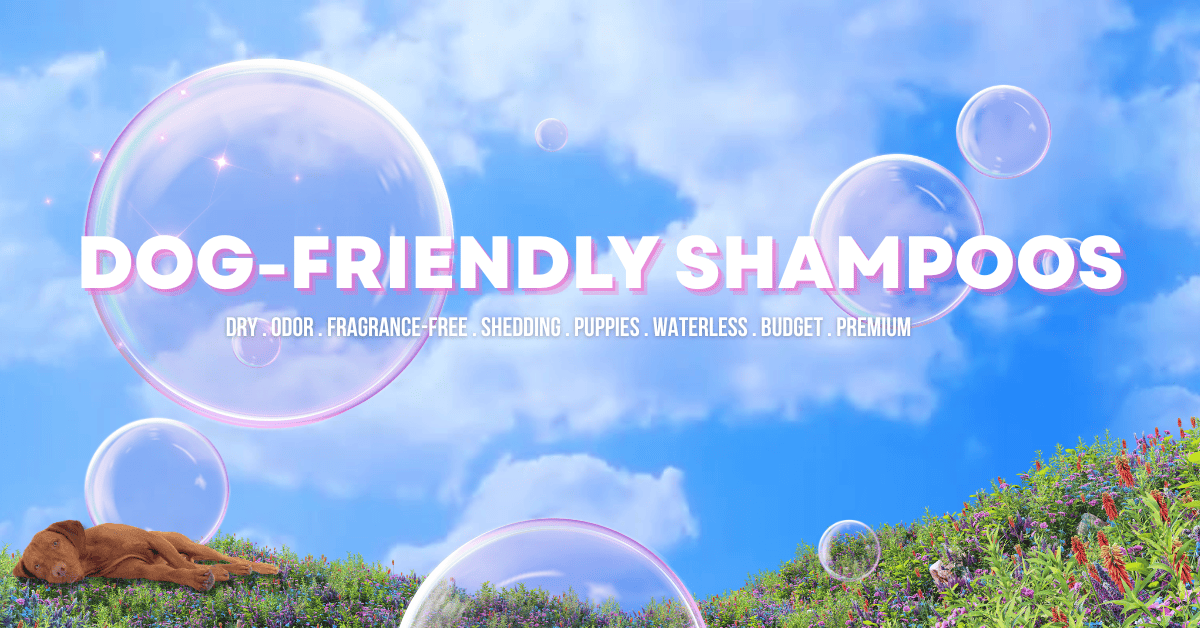 The Best Dog-Friendly Shampoos
