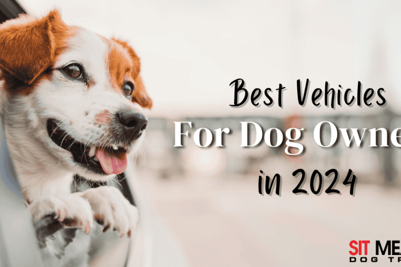 The Best Vehicles for Dog Owners in 2024