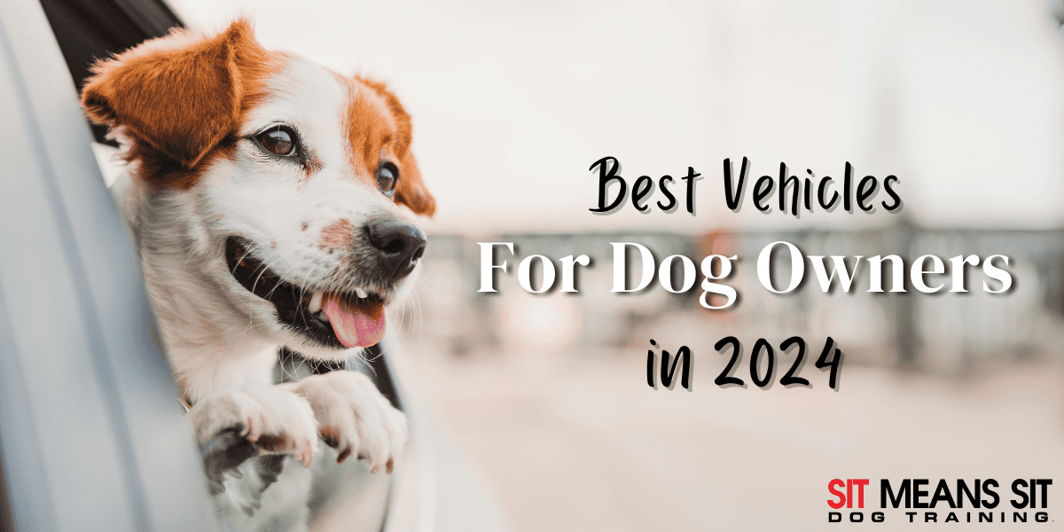 The Best Vehicles for Dog Owners in 2024