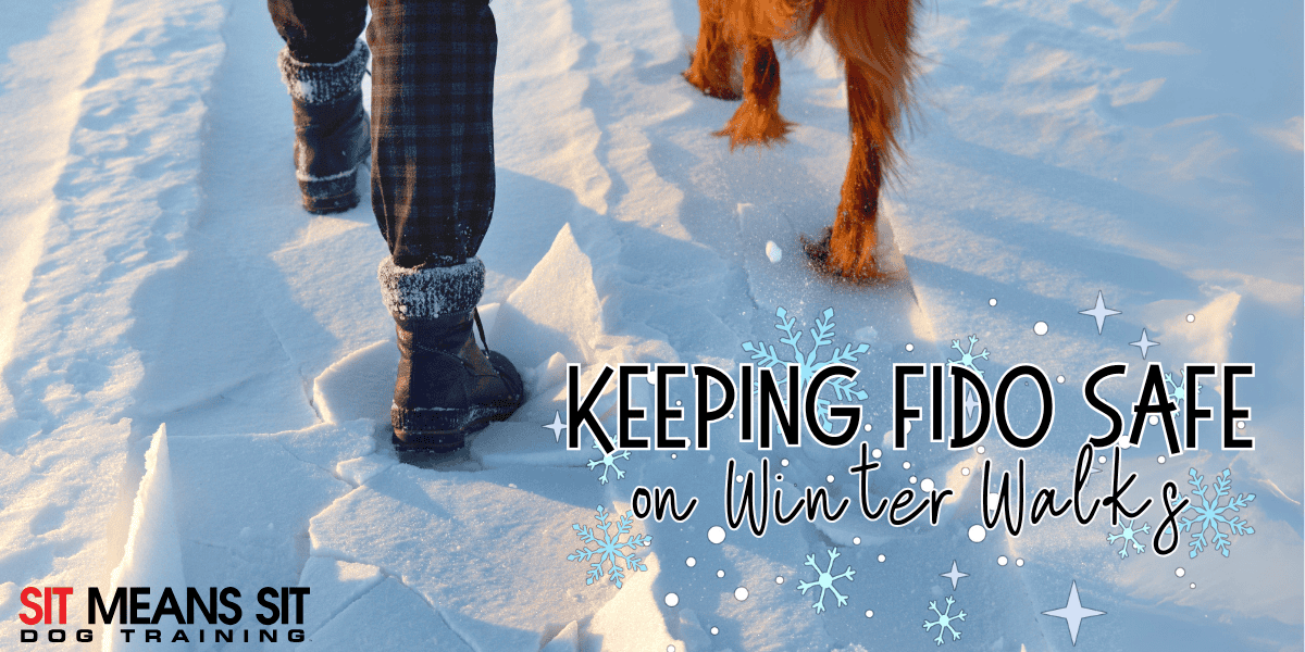 Winter Walks: Keeping Your Dog Safe in Snow and Ice